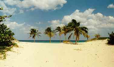 Beach at Guanabo, Cuba